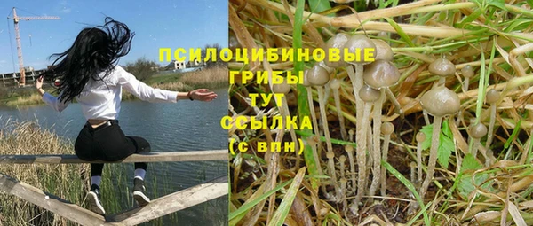 прущая мука Белокуриха